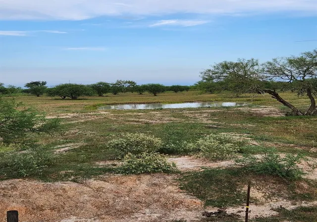 Photo 3 of Land for sale at 13540 Moody Rd, Needville, TX 77461 | MLS# 42008690 | Listing updated on 2026-08-12