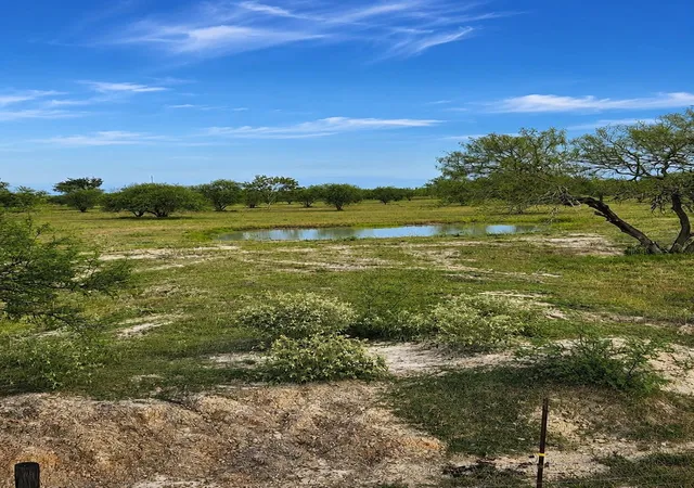 Photo 4 of Land for sale at 13540 Moody Rd, Needville, TX 77461 | MLS# 42008690 | Listing updated on 2026-09-23