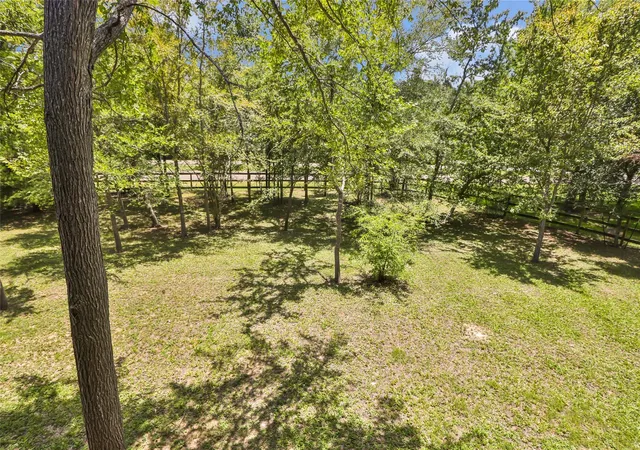 Photo 2 of Sale Pending at 31 Timber Cvs Ln, Coldspring, TX 77331 | MLS# 52256755 | Listing updated on 2026-09-14
