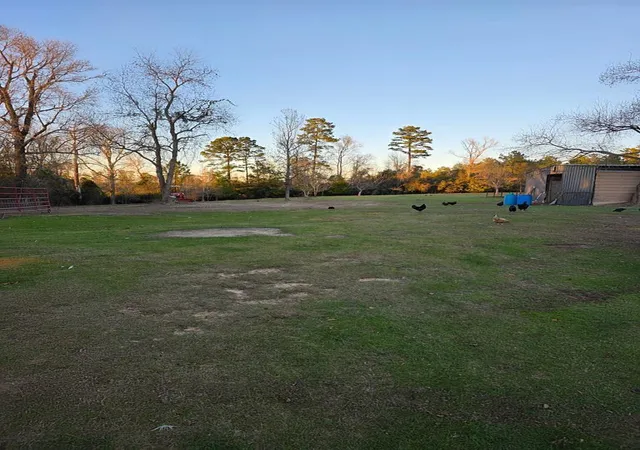 48th image of 3017 N Hwy 87, Newton, TX 75966 | MLS# 22031408