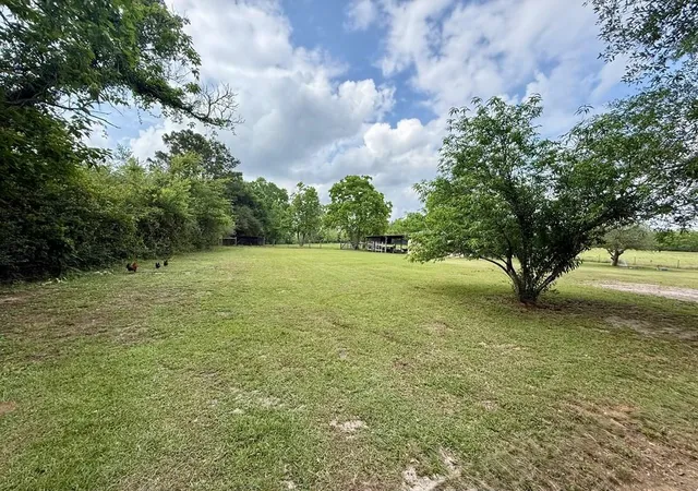 image of 3017 N Hwy 87, Newton, TX 75966 | MLS# 22031408