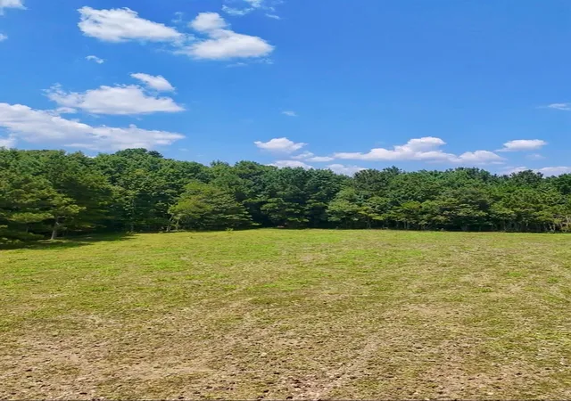 1st image of 464 Road 3011a, Dayton, TX 77535 | MLS# 60071443