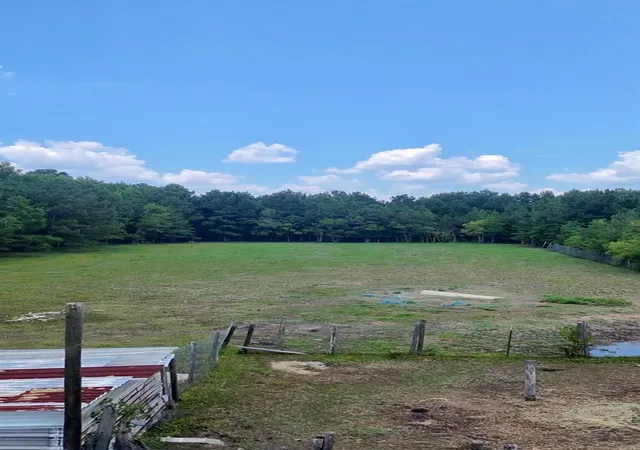 Photo 3 of Land for sale at 464 Rd 3011a, Dayton, TX 77535 | MLS# 60071443 | Listing updated on 2026-08-10