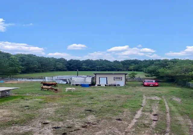 Photo 4 of Land for sale at 464 Rd 3011a, Dayton, TX 77535 | MLS# 60071443 | Listing updated on 2026-08-10