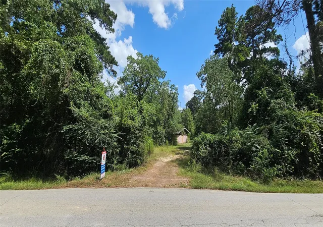 3rd image of 14019 Stagecoach Rd, Stagecoach, TX 77355 | MLS# 81074116