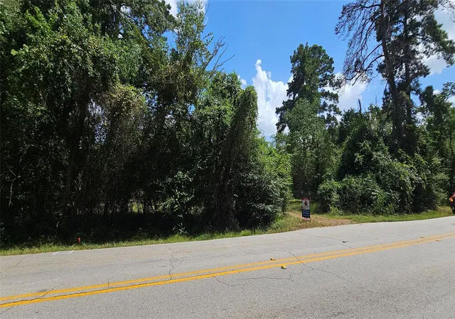 4th image of 14019 Stagecoach Rd, Stagecoach, TX 77355 | MLS# 81074116
