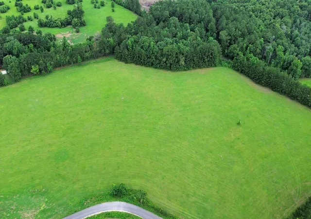 1st image of 8ac Co Rd 317, Magnolia Springs, TX 75956 | MLS# 49129782