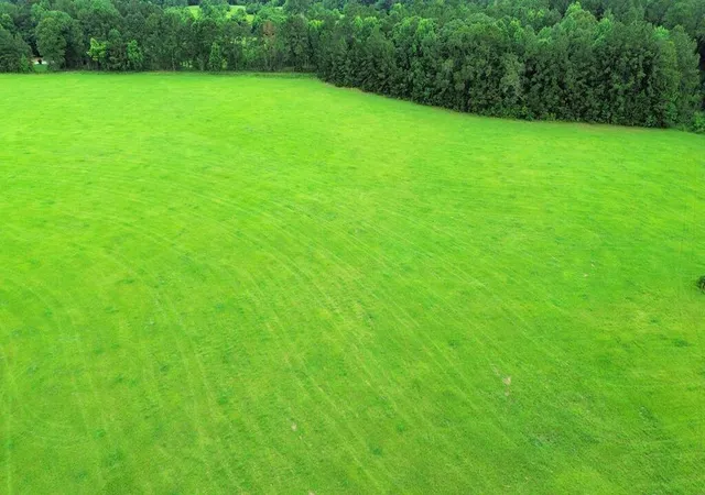 Photo 3 of Land for sale at 8ac Co Rd 317, Magnolia Springs, TX 75956 | MLS# 49129782 | Listing updated on 2026-08-12