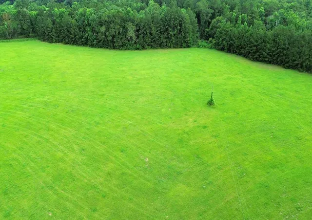 Photo 3 of Land for sale at 8ac Co Rd 317, Magnolia Springs, TX 75956 | MLS# 49129782 | Listing updated on 2026-08-12