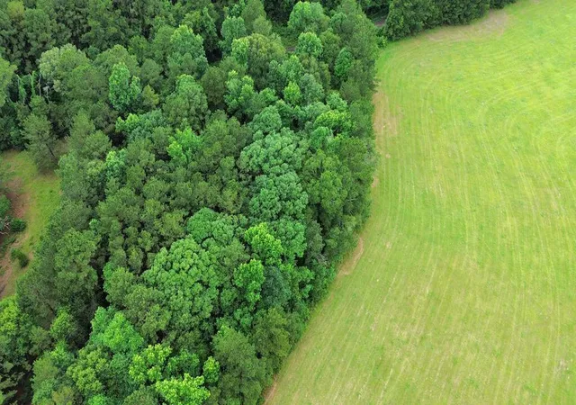 Photo 4 of Land for sale at 8ac Co Rd 317, Magnolia Springs, TX 75956 | MLS# 49129782 | Listing updated on 2026-08-12