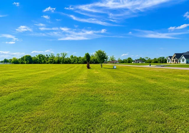 3rd image of 443 Lakeview Dr, Angleton, TX 77515 | MLS# 72391258