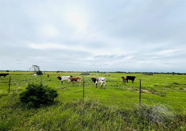 Photo 2 of Sale Pending at Tract 2 Kveton, Cat Spring, TX 78933 | MLS# 36032959 | Listing updated on 2026-09-10
