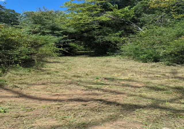 1st image of 5425 County Road 114, Centerville, TX 75833 | MLS# 63865629
