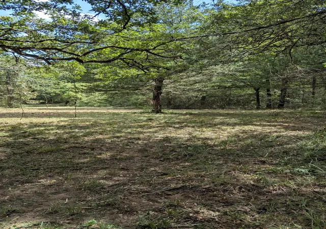 2nd image of 5425 County Road 114, Centerville, TX 75833 | MLS# 63865629