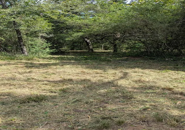 3rd image of 5425 County Road 114, Centerville, TX 75833 | MLS# 63865629