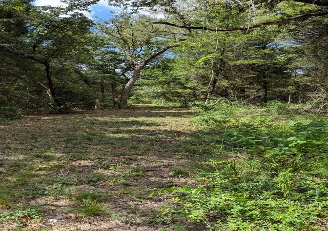 4th image of 5425 County Road 114, Centerville, TX 75833 | MLS# 63865629