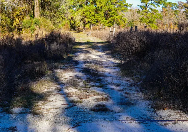 Photo 30 of Land for sale at 112 Highland Dr, Huntsville, TX 77320 | MLS# 3645267 | Listing updated on 2026-08-15