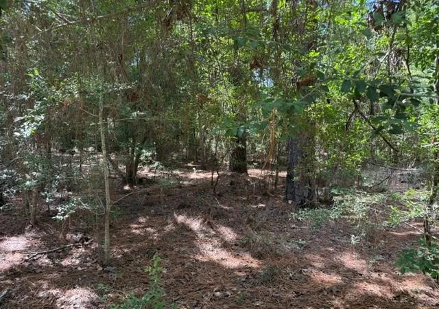 1st image of 0 Twigwood Dr, Brookeland, TX 75931 | MLS# 72196554