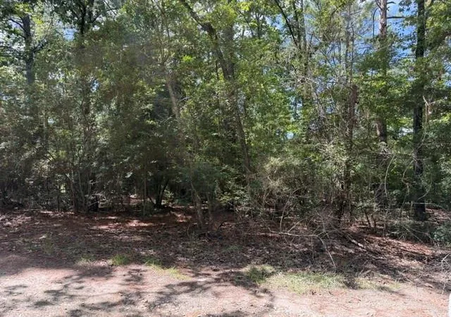 2nd image of 0 Twigwood Dr, Brookeland, TX 75931 | MLS# 72196554