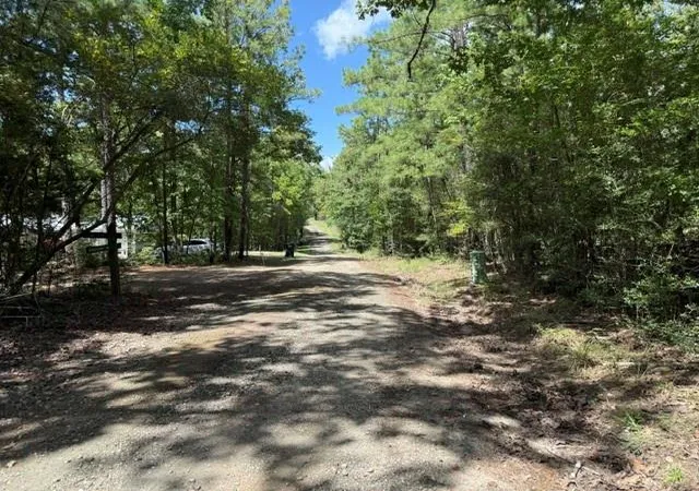 Photo 3 of Land for sale at 0 Twigwood Dr, Brookeland, TX 75931 | MLS# 72196554 | Listing updated on 2026-08-15