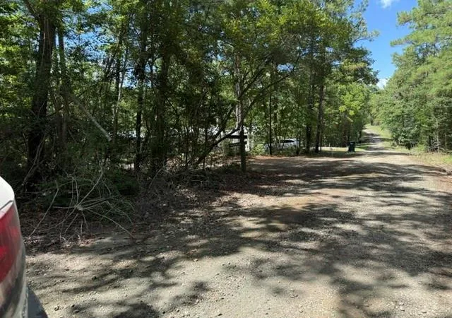 Photo 3 of Land for sale at 0 Twigwood Dr, Brookeland, TX 75931 | MLS# 72196554 | Listing updated on 2026-08-15