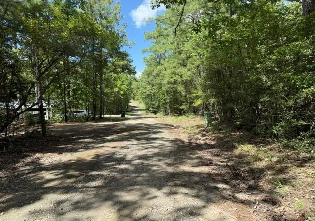 Photo 4 of Land for sale at 0 Twigwood Dr, Brookeland, TX 75931 | MLS# 72196554 | Listing updated on 2026-08-15