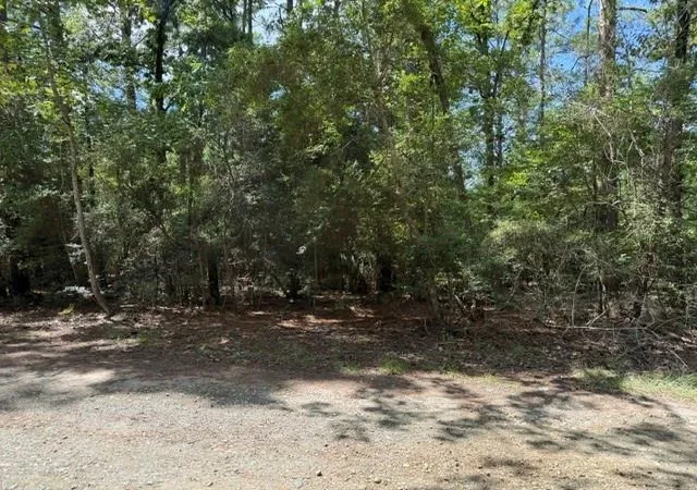 7th image of 0 Twigwood Dr, Brookeland, TX 75931 | MLS# 72196554