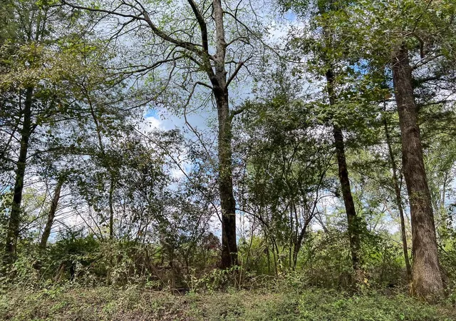 27th image of 1 County Road 4916, Timpson, TX 75975 | MLS# 87774895
