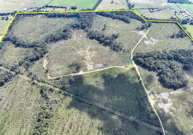 3rd image of 1 County Road 4916, Timpson, TX 75975 | MLS# 87774895