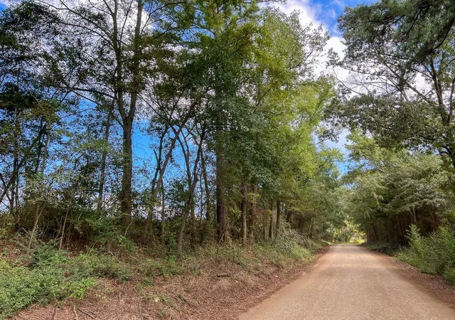 4th image of 1 County Road 4916, Timpson, TX 75975 | MLS# 87774895