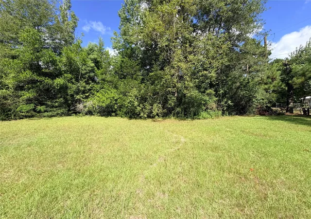 2nd image of 302 County Road 4473, Warren, TX 77664 | MLS# 10924239