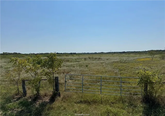 4th image of 80 Acres Tbd Lcr 648, Thornton, TX 76687 | MLS# 58181387