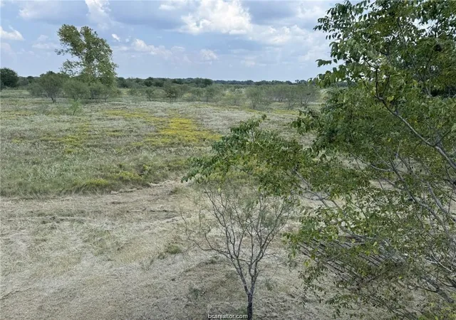 5th image of 80 Acres Tbd Lcr 648, Thornton, TX 76687 | MLS# 58181387