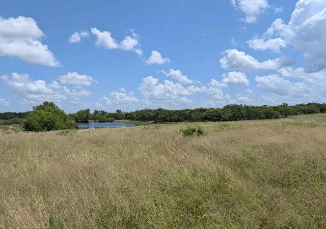 Photo 1 of Land for sale at 0016 County Rd 115, Bedias, TX 77831 | MLS# 20316591 | Listing updated on 2026-08-17
