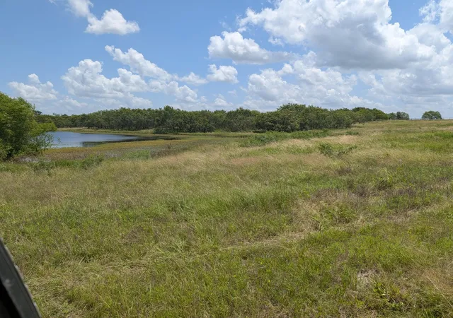Photo 2 of Land for sale at 0016 County Rd 115, Bedias, TX 77831 | MLS# 20316591 | Listing updated on 2026-08-17