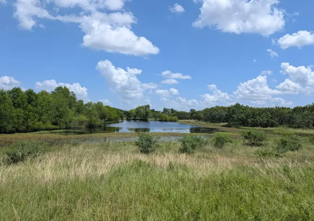 Photo 3 of Land for sale at 0016 County Rd 115, Bedias, TX 77831 | MLS# 20316591 | Listing updated on 2026-08-17
