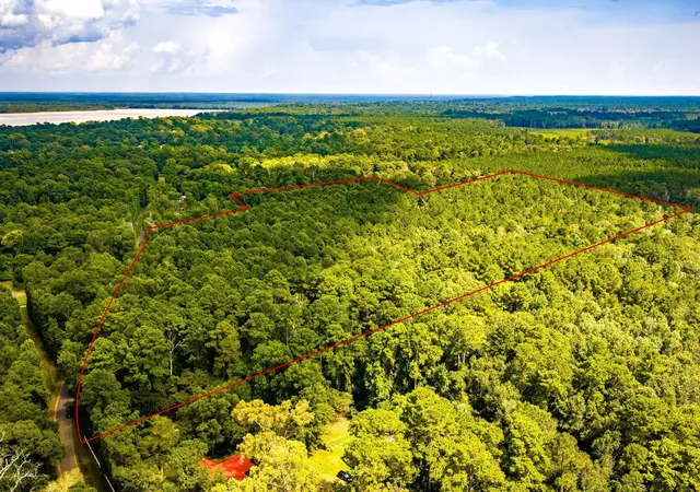 1st image of Tbd Cr 4120, Woodville, TX 75979 | MLS# 68736202