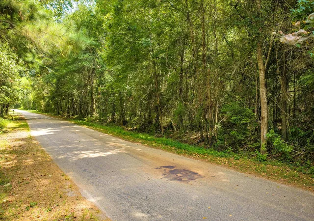 2nd image of Tbd Cr 4120, Woodville, TX 75979 | MLS# 68736202