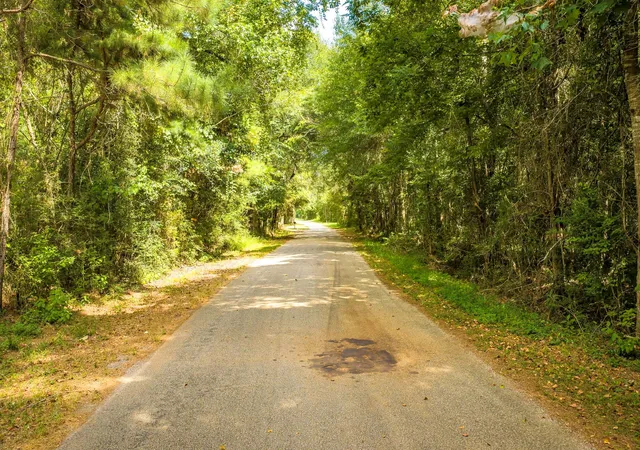 3rd image of Tbd Cr 4120, Woodville, TX 75979 | MLS# 68736202