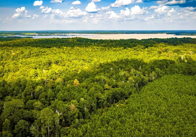 4th image of Tbd Cr 4120, Woodville, TX 75979 | MLS# 68736202