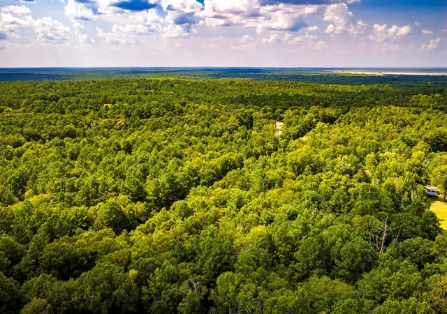 5th image of Tbd Cr 4120, Woodville, TX 75979 | MLS# 68736202