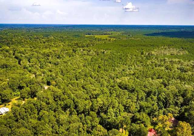6th image of Tbd Cr 4120, Woodville, TX 75979 | MLS# 68736202