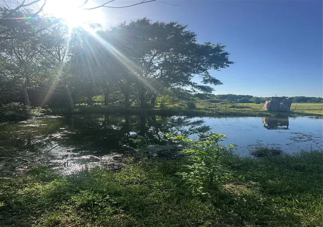 Photo 3 of Land for sale at 465 Stalbaum Rd, Bellville, TX 77418 | MLS# 15723720 | Listing updated on 2026-09-10
