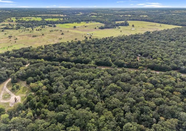 Photo 4 of Sale Pending at Tbd Cr 102, Leona, TX 75850 | MLS# 76310905 | Listing updated on 2026-09-14