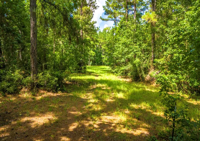 1st image of 45 Acres Fm 229, Crockett, TX 75835 | MLS# 17836769