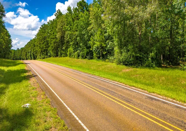 3rd image of 45 Acres Fm 229, Crockett, TX 75835 | MLS# 17836769