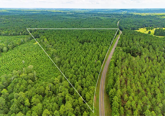 4th image of 45 Acres Fm 229, Crockett, TX 75835 | MLS# 17836769