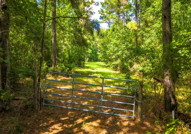 5th image of 45 Acres Fm 229, Crockett, TX 75835 | MLS# 17836769