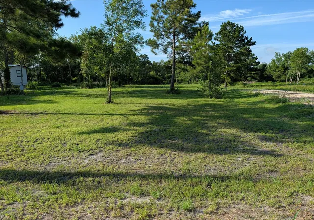 Photo 3 of Land for sale at 480 Road 48619, Dayton, TX 77535 | MLS# 30761765 | Listing updated on 2026-10-03