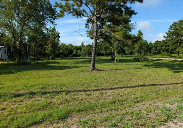 Photo 4 of Land for sale at 480 Road 48619, Dayton, TX 77535 | MLS# 30761765 | Listing updated on 2026-10-03
